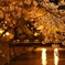 輝く京都の夜。