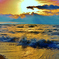 琵琶湖夕春景