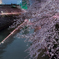 目黒川桜祭り