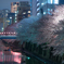 目黒川桜祭り
