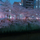 目黒川桜祭り