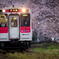 ～花の雲～ 桜駅