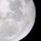 moom20100429_02