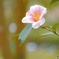IMG_20160309_170331