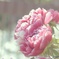 IMG_20160411_182008