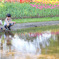 20100429_showakinen_1806