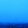 雨。