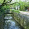 Philosophers' Path