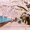 散歩道