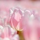 IMG_20160417_145014