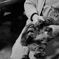 猫　母の膝の上