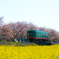 真岡線　