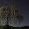 DPP_00000365