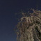 DPP_00000366