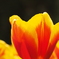 花の器