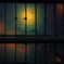 夜光