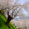DSCF8972