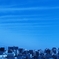 蒼と街