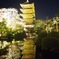 東寺 ライトアップ