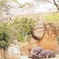 春の陽気