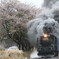 春の嵐の日