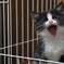 ふわぁー