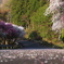 花のじゅうたん