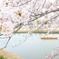 せせらぎ