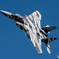 JASDF/TFTG/F15DJ