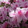 2010_0429_090101-R0013500
