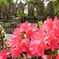 2010_0429_090740-R0013505