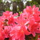 2010_0429_090746-R0013506