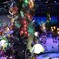 disney sea