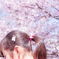 桜日和