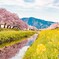 20160405-DSC_5696
