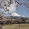 富士と桜