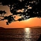 初 夕暮れ