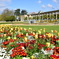 France Rennes Park 春