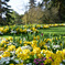 France Rennes Park