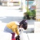 仲良くなったニャン