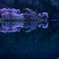 早朝の桜色（1）