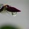 雨の記憶