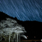 星降りの夜桜
