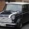 mini (2)