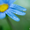 Rainy Day