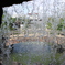 WALL OF WATER