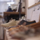 靴屋さん