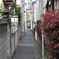 奥の細い道