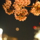 夜桜