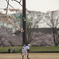 野球と桜